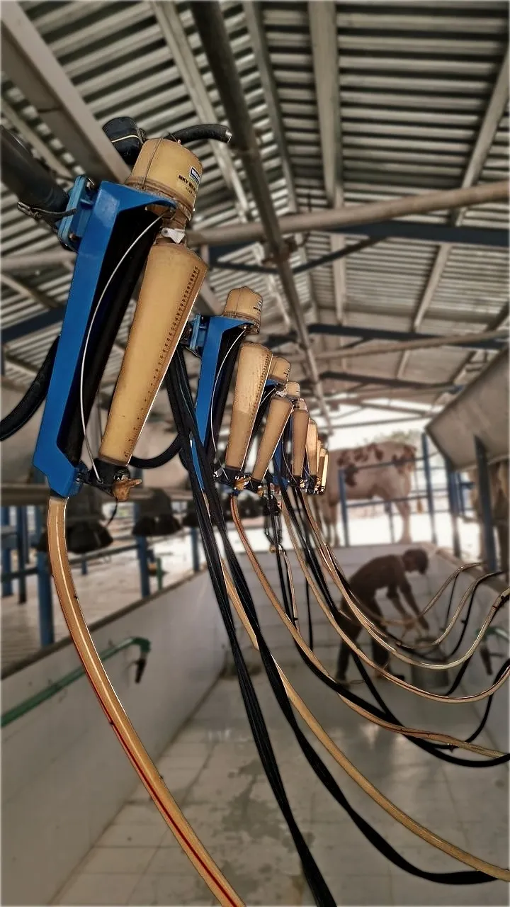 Haq Fresh Milk — farm facility